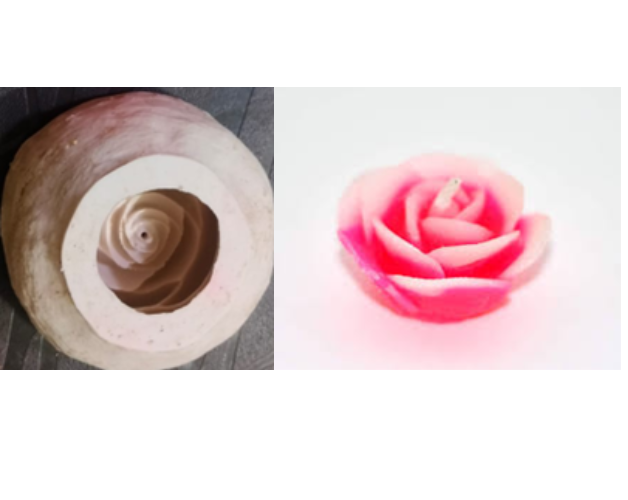 Rose Flower
